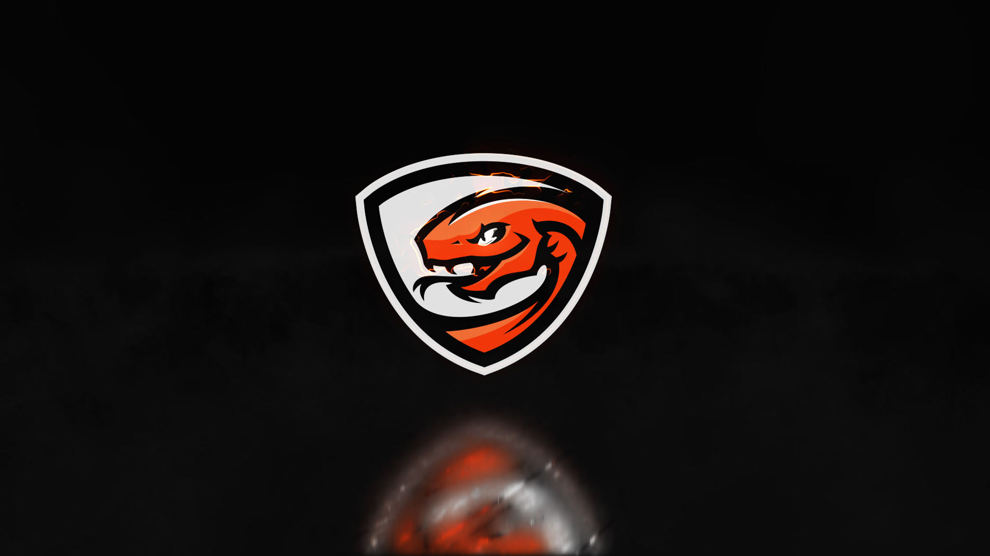 Boomslangg - Logo Animation